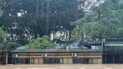 Heavy rain forecast