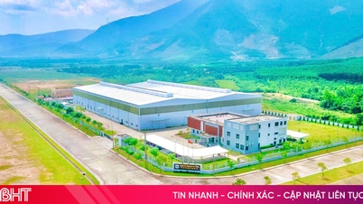 Granting investment certificate for steel processing project in Vung Ang Economic Zone