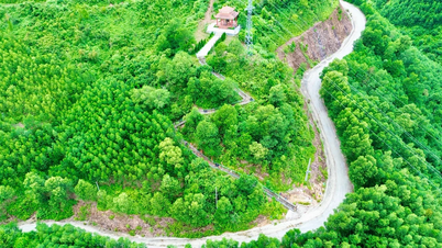 Proposal to 'upgrade' national highway through rugged mountains and forests in Hue