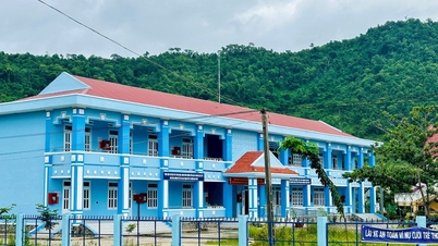Lam Dong plans to reorganize public service units