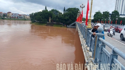 Mực nước các sông Kỳ Cùng, Trung, Bắc Giang trên báo động 1