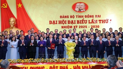 Making Dong Nai soon become the region's aviation and high-tech economic center