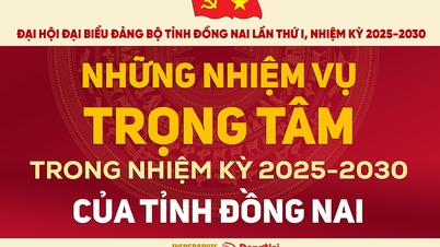 [Infografika] Klíčové úkoly provincie Dong Nai ve volebním období 2025–2030