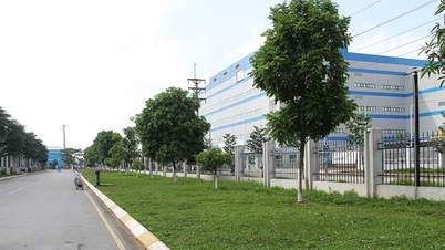 Bac Ninh មានបំណង 100% នៃសួនឧស្សាហកម្ម និងចង្កោមឱ្យមានហេដ្ឋារចនាសម្ព័ន្ធខ្សែកាបអុបទិកល្បឿនលឿន