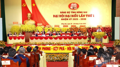 Opening of the 1st Congress of Dong Nai Provincial Party Committee, term 2025-2030