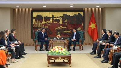 Việt Nam – EU tiếp tục triển khai hiệu quả EVFTA