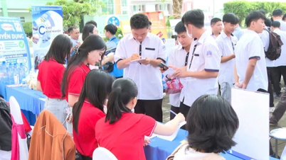 More than 300 students participated in the 2025 job fair