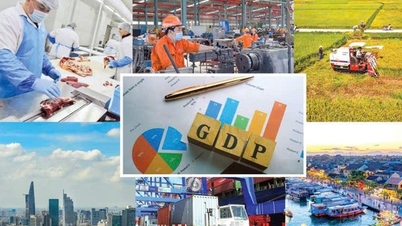 Innføring av det vietnamesiske økonomiske sektorsystemet