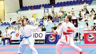 The resonant power of Dak Lak karate