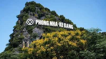 ឧទ្យានជាតិ Phong Nha-Ke Bang និងផ្លូវរូងក្រោមដី Vinh Moc ដែលផ្តល់កិត្តិយសដោយ Lonely Planet