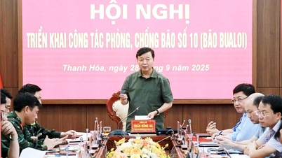 Der stellvertretende Premierminister Tran Hong Ha wies die Gemeinden an, umfassende Szenarien für die Reaktion auf Sturm Nr. 10 vorzubereiten.