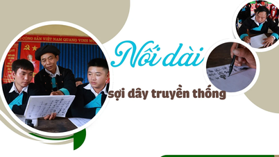 ការពង្រីកខ្សែស្រឡាយប្រពៃណី