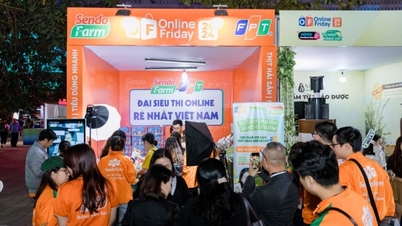 การระเบิดของแนวโน้มอีคอมเมิร์ซใหม่ และปัญหาการพัฒนาอย่างยั่งยืน