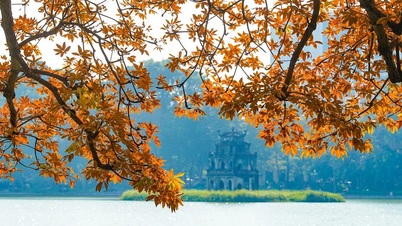 រដូវស្លឹកឈើជ្រុះដ៏ត្រចះត្រចង់របស់ទីក្រុងហាណូយបានលាតត្រដាងតាមរយៈព្រឹត្តិការណ៍បទពិសោធន៍ប្លែកៗ
