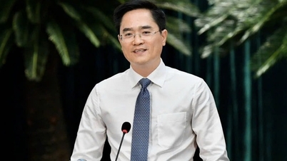 Mr. Tran Quang Lam holds the position of Director of Ho Chi Minh City Department of Construction.