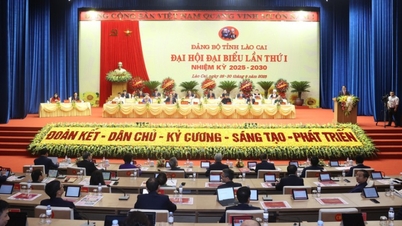 ผู้แทนลาวไก 48 คนขอไม่เข้าร่วมประชุมเพื่อไปช่วยน้ำท่วมอย่างเร่งด่วน