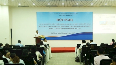 Training on handling many administrative procedures in the field of industry and trade