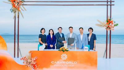KN Cam Ranh សហការជាមួយ BHS Property ដើម្បីអភិវឌ្ឍអាជីវកម្មនៅក្នុងផ្នែករង Parasol Premium នៃតំបន់ទីក្រុង Super CaraWorld