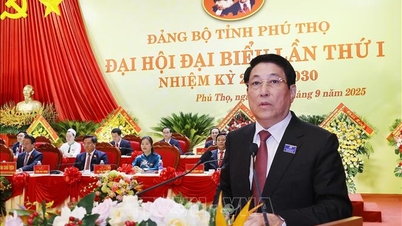 Luong Cuong elnök: A Phu Tho Pártbizottságnak fenn kell tartania a szolidaritást és a nagyfokú egységességet a felfogásban és a cselekvésben.