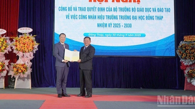 Dong Thap University announced the decision to recognize the principal.
