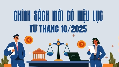គោលការណ៍ថ្មីចូលជាធរមានចាប់ពីខែតុលា ឆ្នាំ 2025