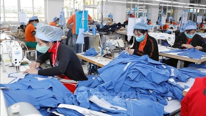 Vietnam - EU akan menubuhkan kumpulan kerja khas untuk menghapuskan halangan perdagangan.