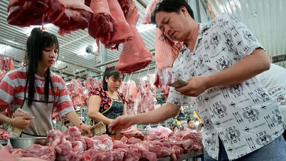 “Decoding” a food safety management clue