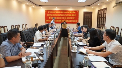 Travailler avec l'Union des associations scientifiques et technologiques de la ville de Hai Phong