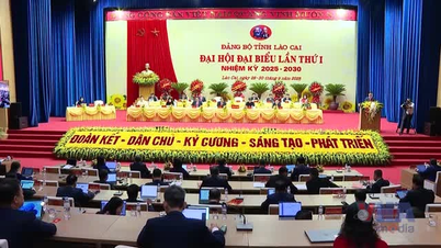 Lao Cai៖ ខិតខំក្លាយជាមជ្ឈមណ្ឌលតភ្ជាប់ពាណិជ្ជកម្មវៀតណាម-អាស៊ាន-ចិន