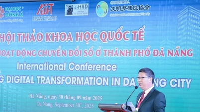 Da Nang seeks digital transformation solutions, expands cooperation with Japan