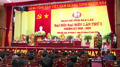 Overview of the first Dak Lak Provincial Party Congress