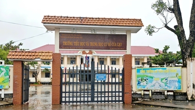 Parents shocked by 320,000 VND membership fee, what does the school in Phu Quoc say?