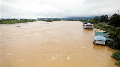 Tuyen Quang répond d'urgence aux inondations et aux tempêtes, protégeant la vie des gens