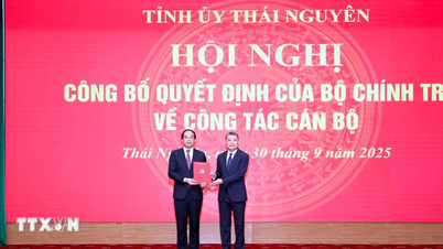 ការិយាល័យនយោបាយបានតែងតាំងលោក Trinh Xuan Truong កាន់តំណែងជាលេខាគណៈកម្មាធិការបក្សខេត្ត Thai Nguyen។