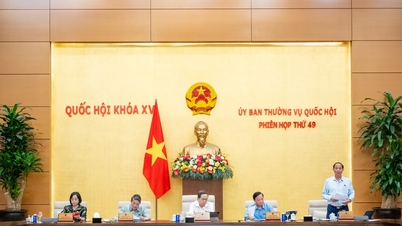 ត្រួសត្រាយផ្លូវក្នុងការលើកកម្ពស់កិច្ចសហប្រតិបត្តិការជាសាកលដើម្បីការពារអ៊ីនធឺណែត