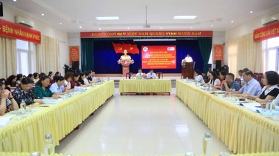 សង្ខេបសកម្មភាពគម្រោង "គាំទ្រលើកកម្ពស់សុខភាពមាតា និងទារកក្នុងខេត្ត Yen Bai" ឧបត្ថម្ភដោយក្រុមប្រឹក្សាខេត្ត Val-der-Mare (ប្រទេសបារាំង)