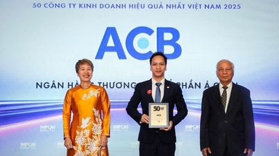ACB ត្រូវបានផ្តល់កិត្តិយសជាលើកទី 9 ជាប់ៗគ្នាជា "អាជីវកម្មដែលមានប្រសិទ្ធភាពបំផុតចំនួន 50 នៅវៀតណាម"