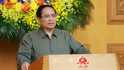 Prime Minister Pham Minh Chinh: Arrange public service units according to the Party's policy and closely follow practical requirements.