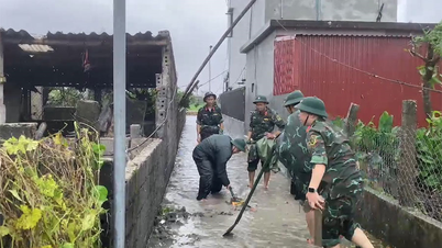 Ninh Binh: ຕັ້ງໜ້າ​ຊ່ວຍ​ເຫຼືອ​ປະຊາຊົນ​ຜ່ານ​ຜ່າ​ພາຍຸ​ເລກ 10