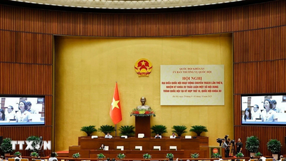 ទំនួលខុសត្រូវផ្លូវច្បាប់នៃវេទិកាពាណិជ្ជកម្មអេឡិចត្រូនិក