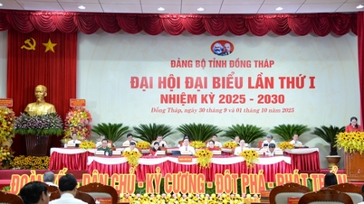 Dong Thap has transformed strongly after 40 years of renovation.