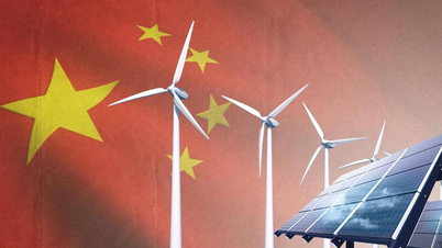 Réalisations de la transformation de l'énergie verte
