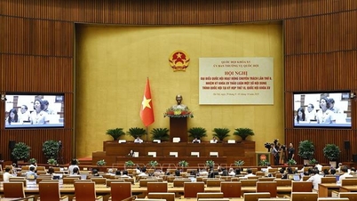 Hội nghị đại biểu Quốc hội chuyên trách: Ràng buộc trách nhiệm pháp lý sàn thương mại điện tử