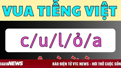 The Vietnamese King's Puzzle seems easy, but you may not find the answer.