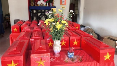 វិញឡុង៖ ពិធីគោរពវិញ្ញាណក្ខន្ធ និងបញ្ចុះសពយុទ្ធជនពលី ៣១ នាក់។