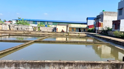 ដោយអន្ទះសាររង់ចាំទឹកស្អាតមកឃុំ