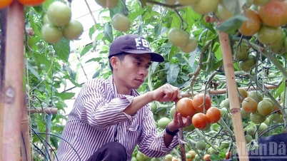ឡាំដុង ពិនិត្យគ្រួសារក្រីក្រ និងជិតក្រីក្រ និង...