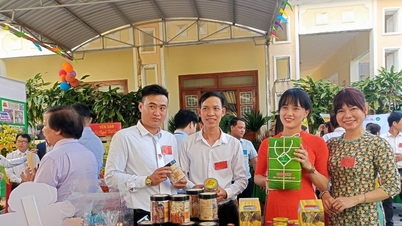 សកម្មភាពចាប់ផ្តើមអាជីវកម្មនៅ Nui Thanh ប្រឈមនឹងការលំបាក
