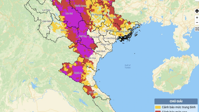 Nearly 1,000 communes and wards across the country are at risk of flash floods and landslides.