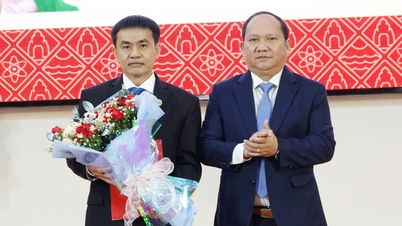 The Ministry of Education and Training announced the decision to recognize the Principal of Quy Nhon University.